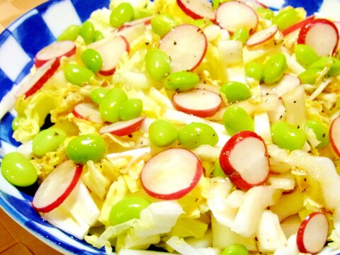 枝豆とラディッシュの白菜サラダ